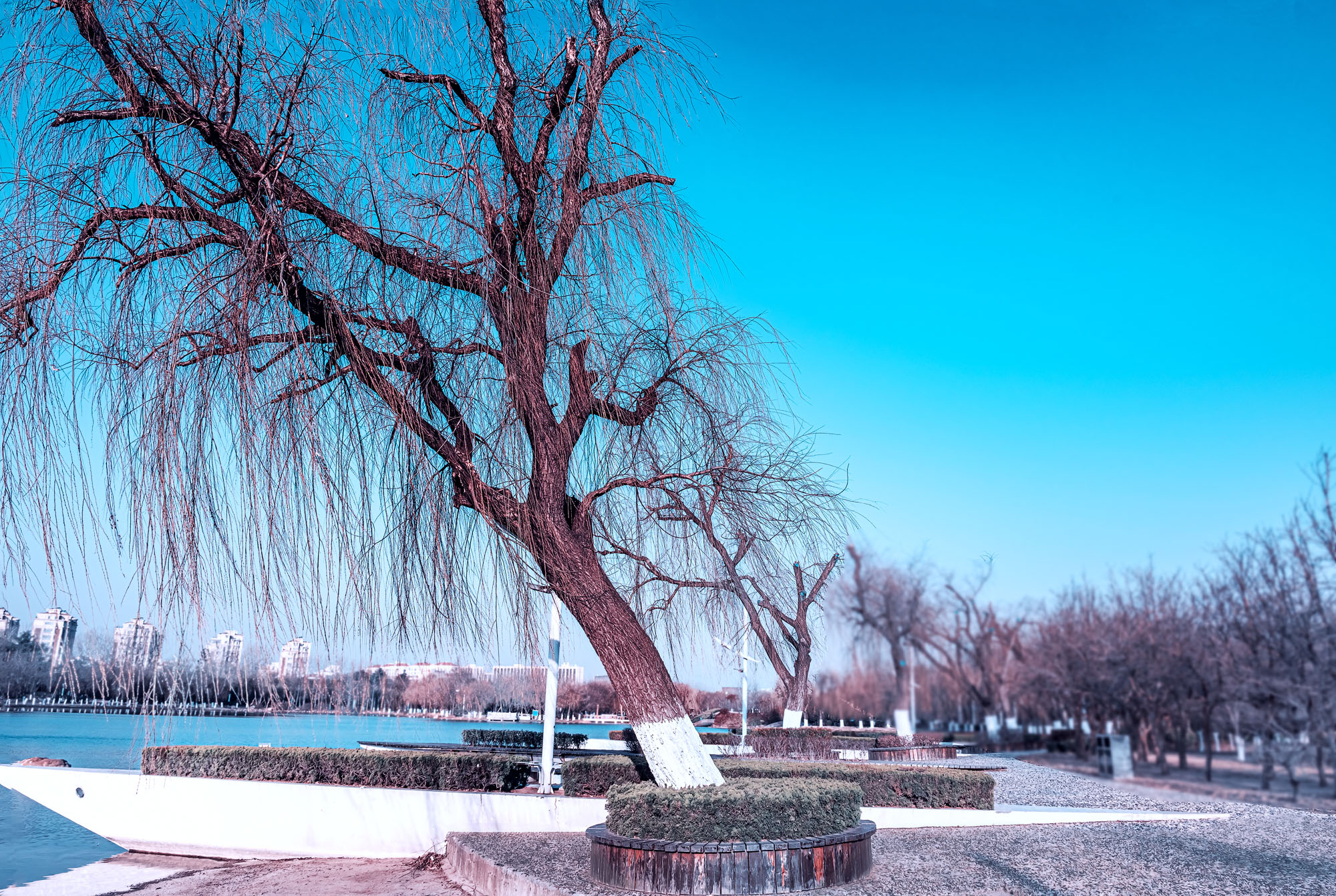 DSC_0507.jpg