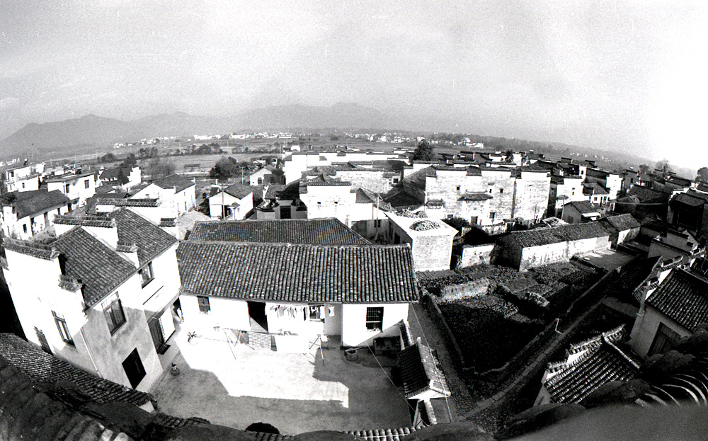 img786.jpg