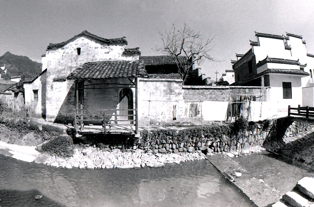 img794.jpg