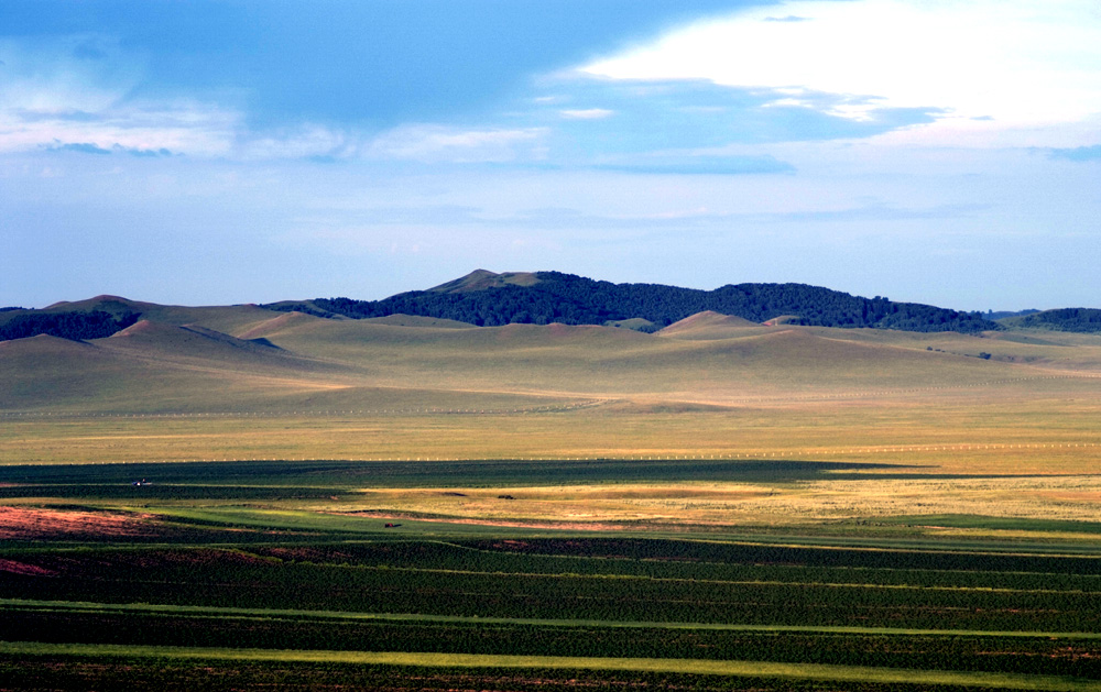 _DSF0089.JPG