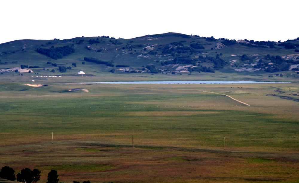 _DSF0093.JPG