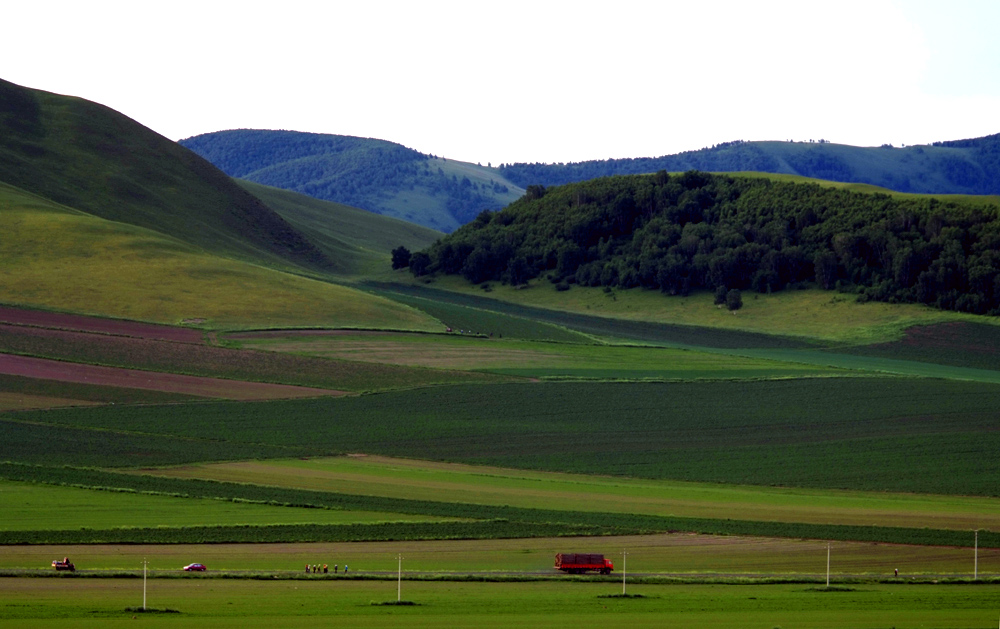 _DSF0097.JPG