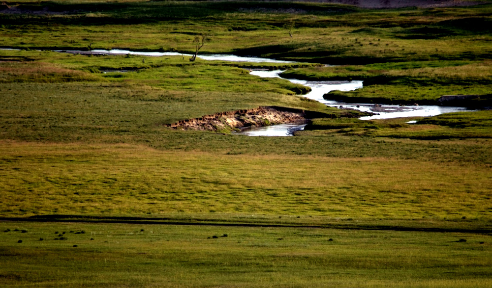 _DSF0114.JPG