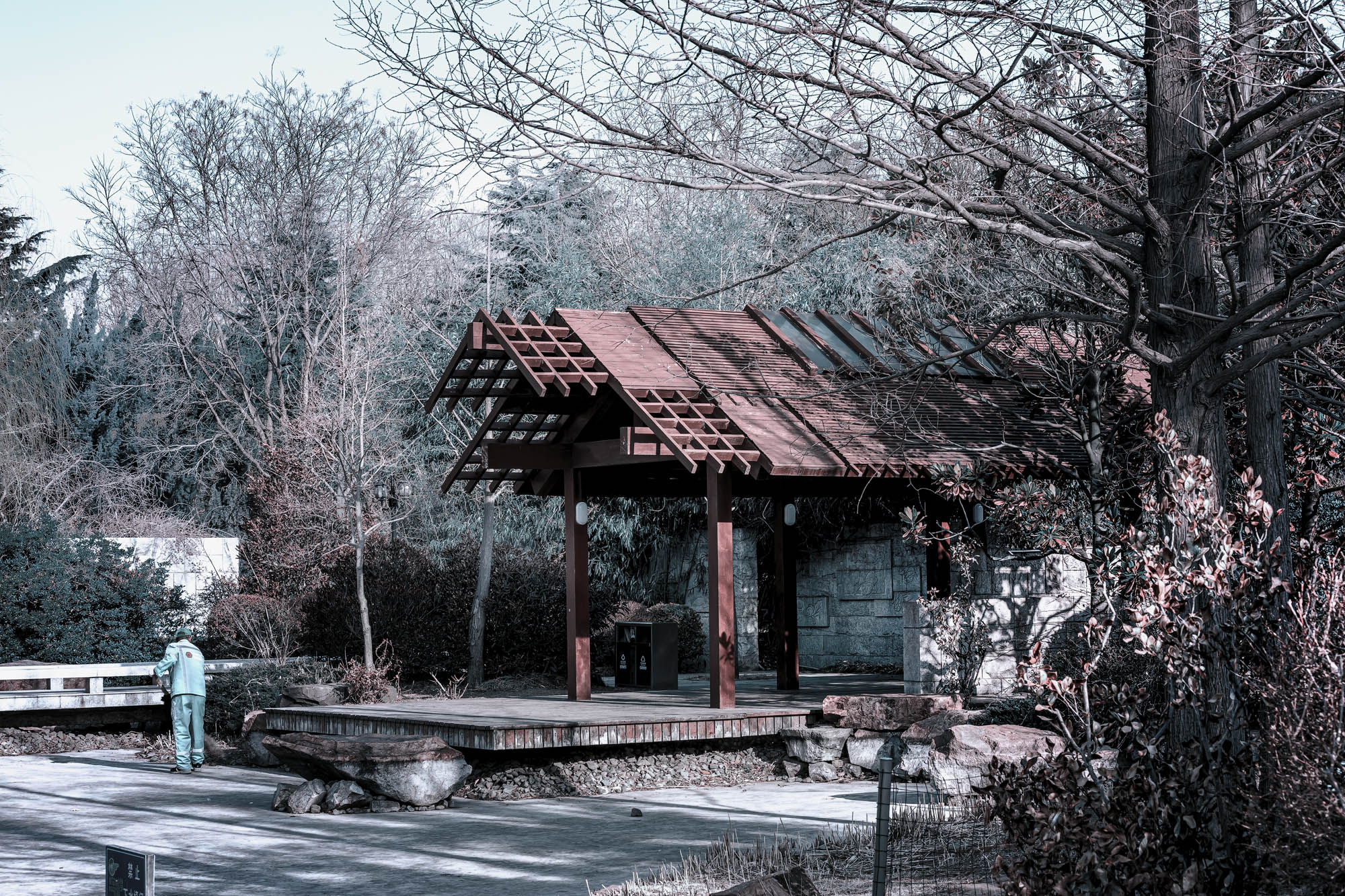 DSC_0557.jpg