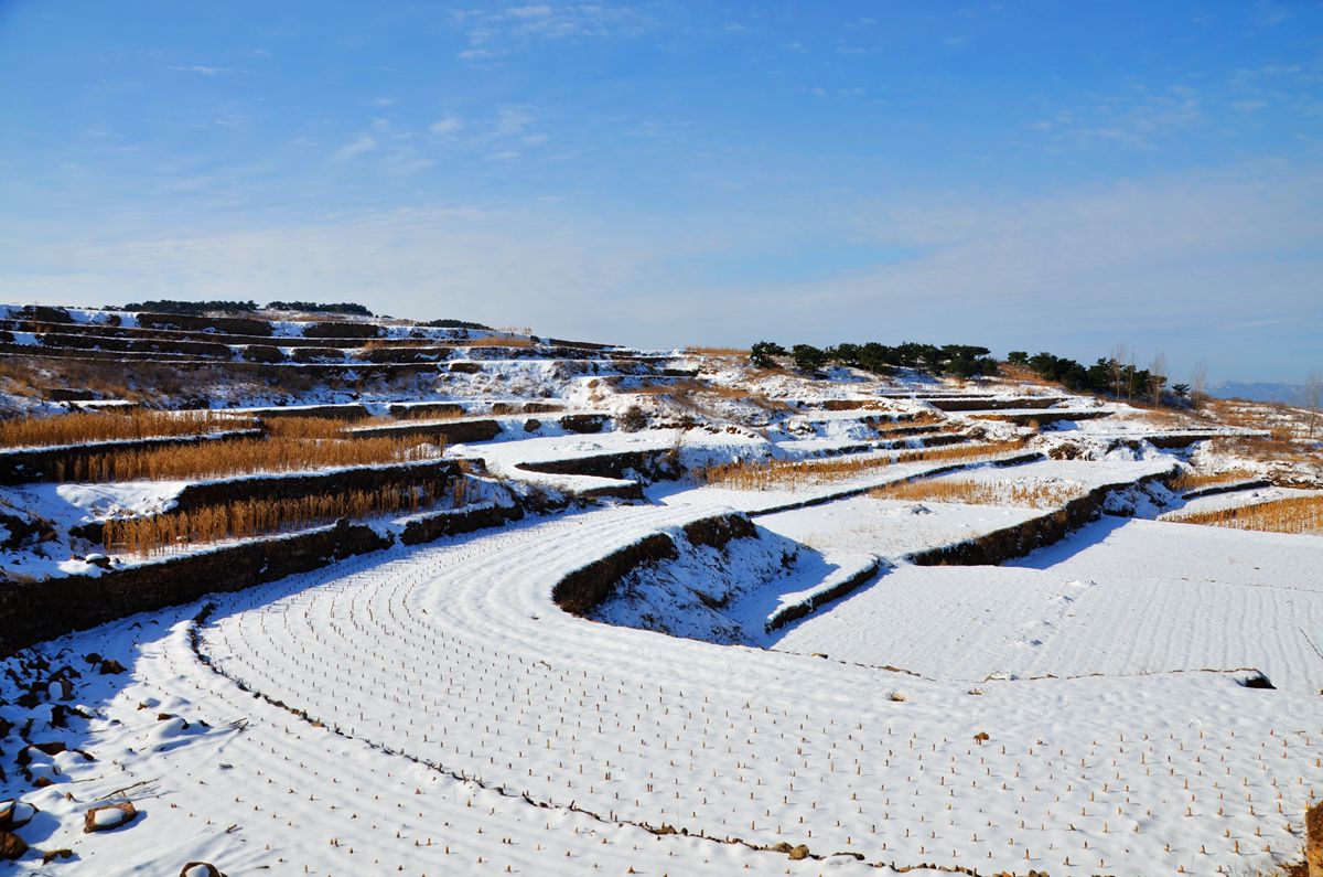 DSC_0066_副本.jpg