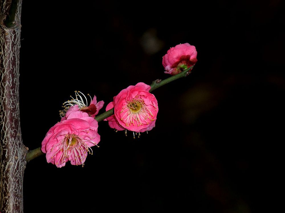DSCF5329_副本_副本.jpg