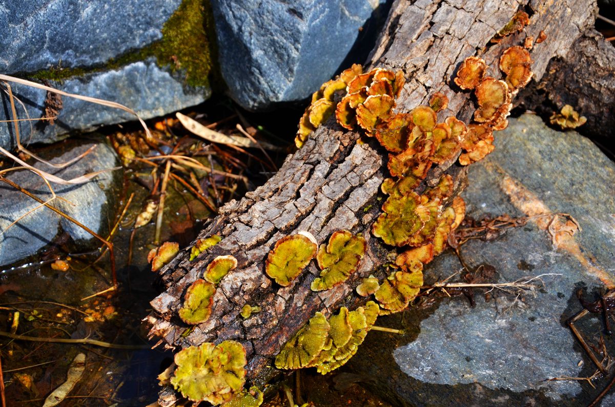 DSC_0089_副本.jpg