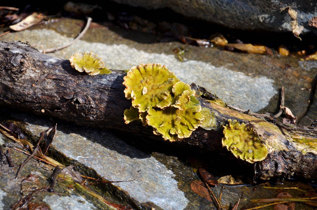 DSC_0090_副本.jpg