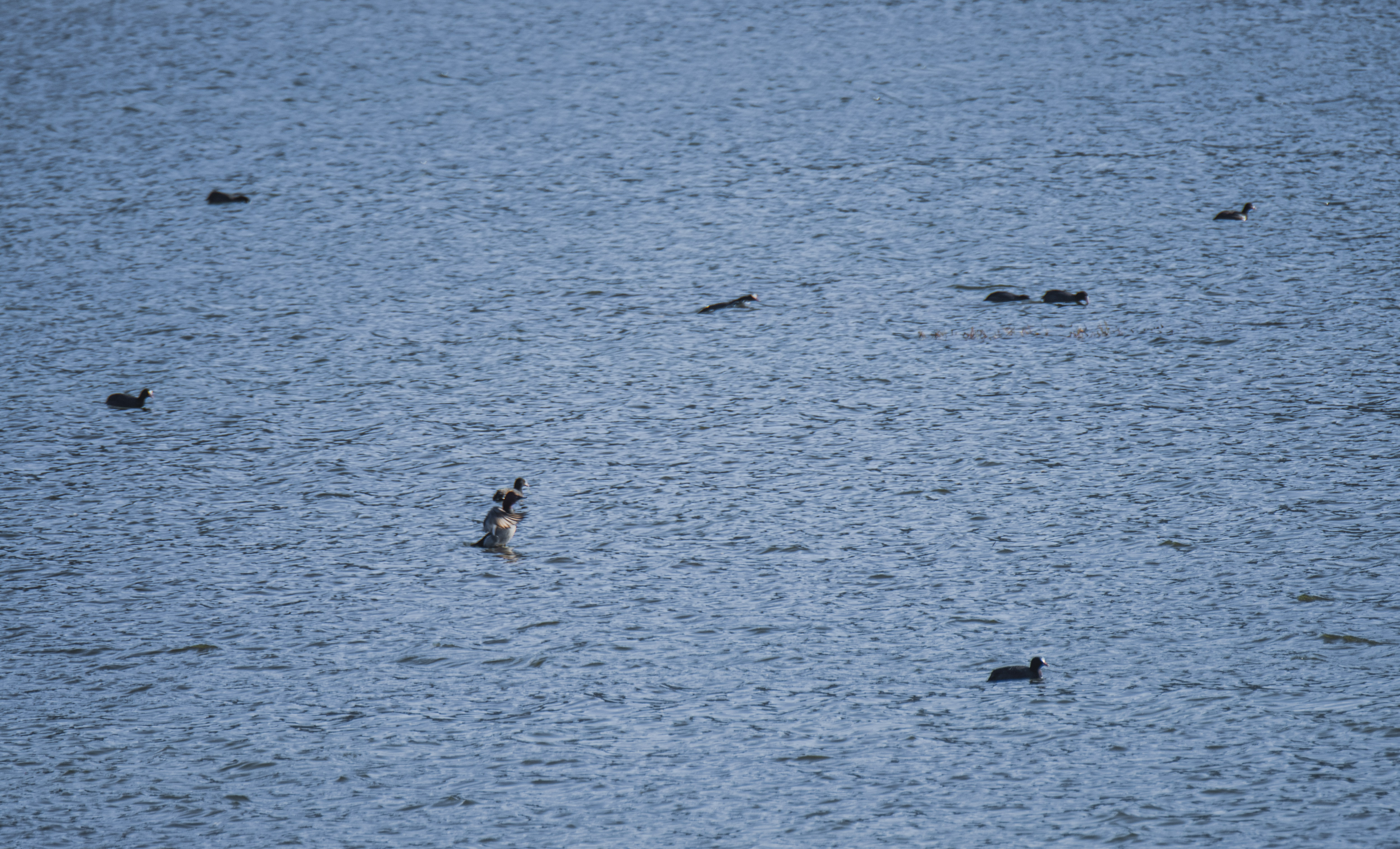11DSC_5103.jpg