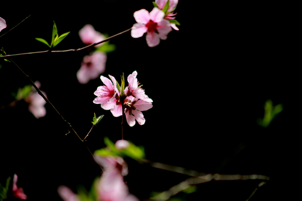FU2A0518.JPG
