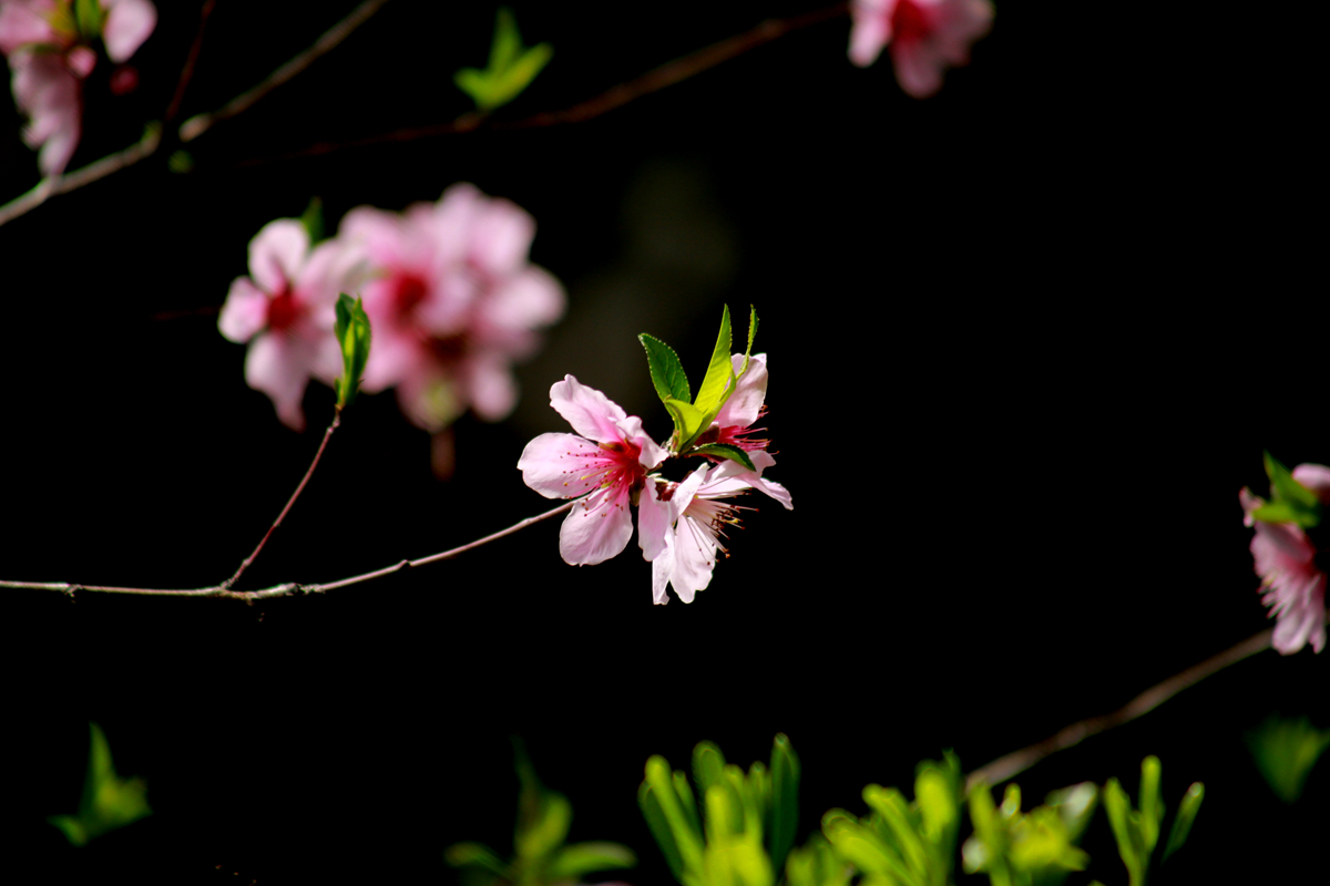 FU2A0519.JPG