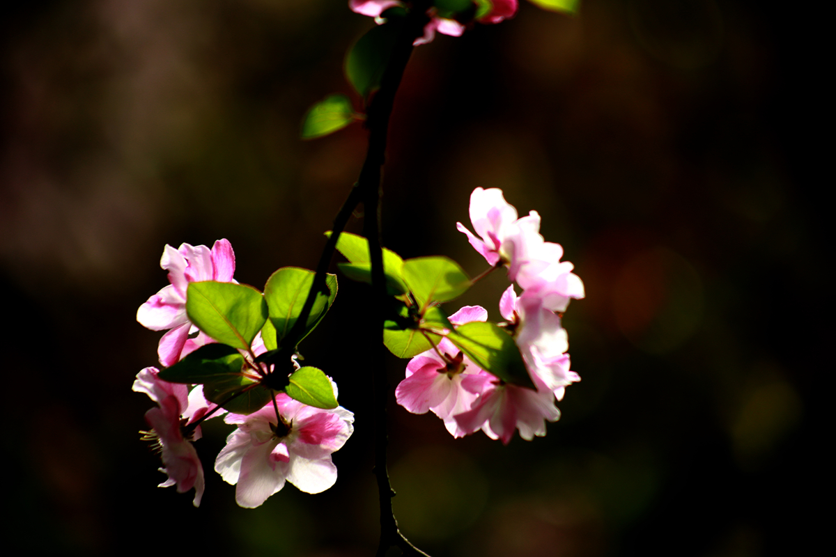 FU2A0524.JPG