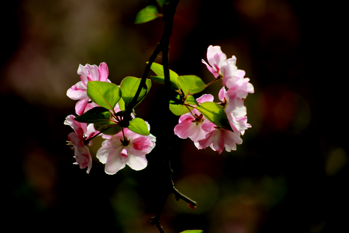 FU2A0523.JPG
