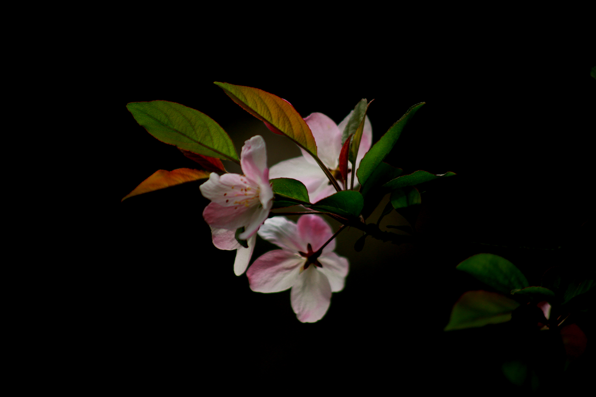 FU2A0522.JPG