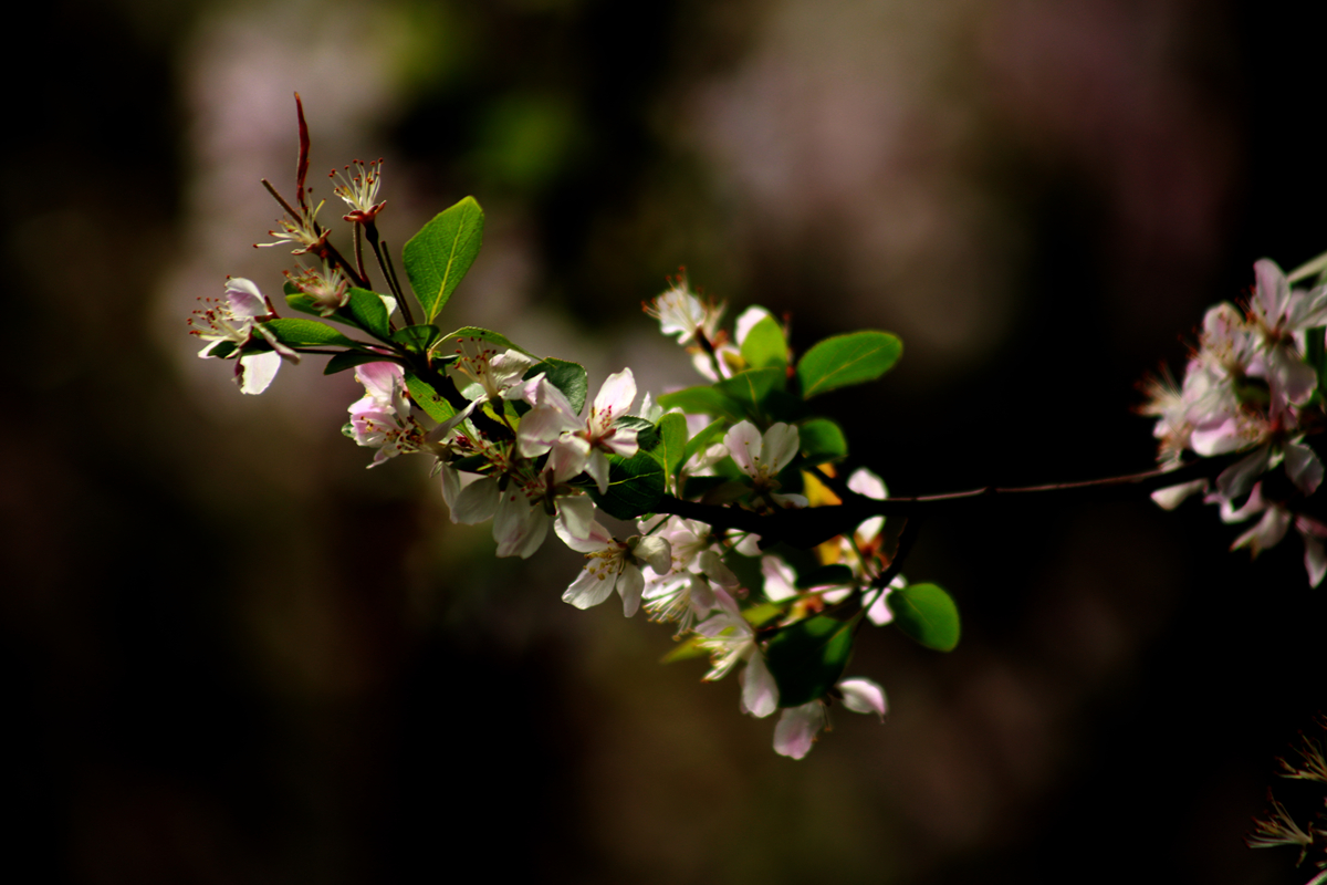 FU2A0525.JPG