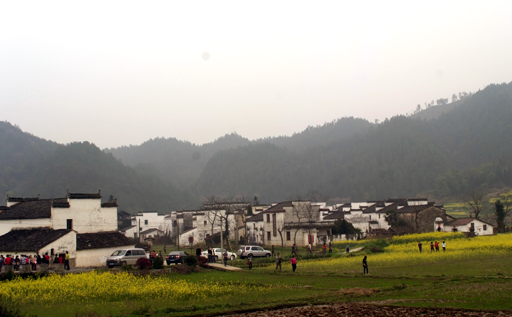 _DSF4771.JPG