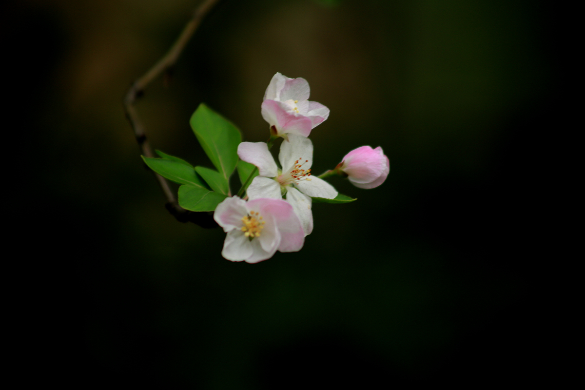 FU2A0010.JPG