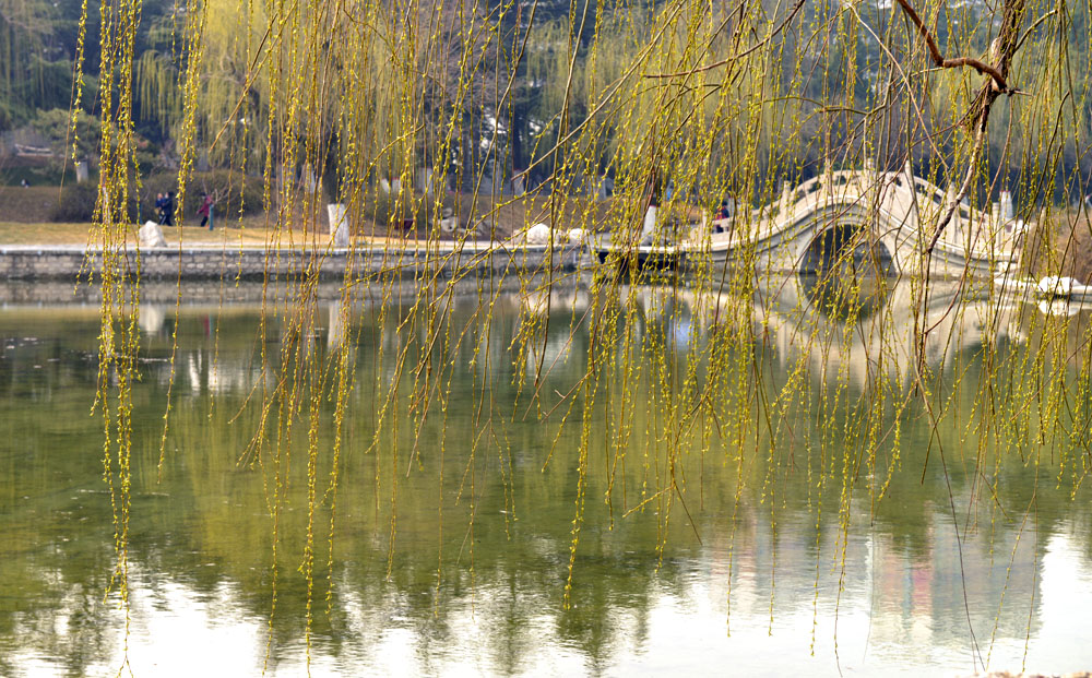 _DSC0089.JPG