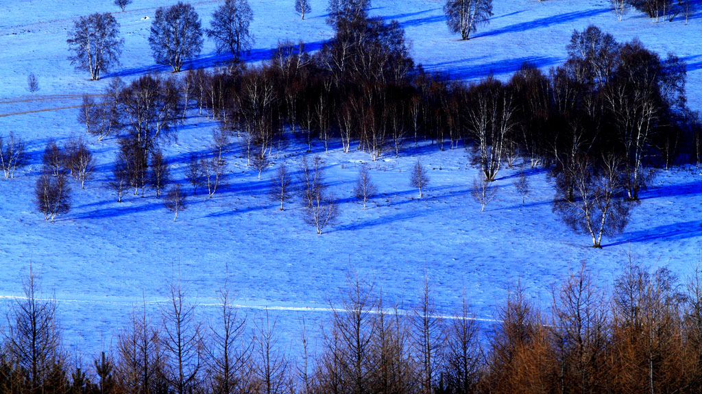 _MG_6961.JPG