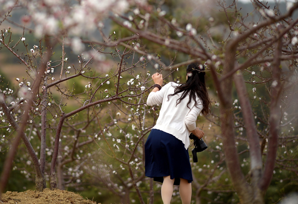 DSC_4176_副本.jpg
