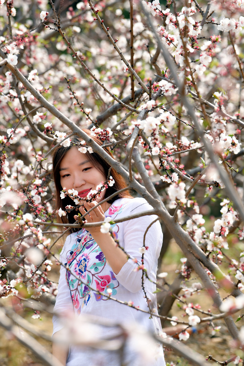 DSC_3895_副本.jpg