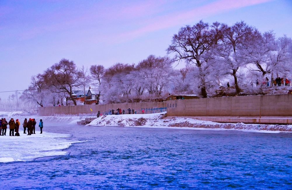 DSC_0051.jpg