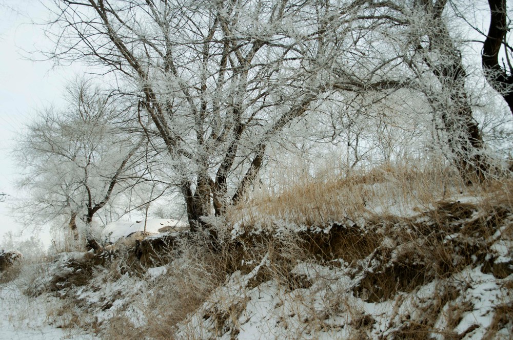 DSC_0124.JPG