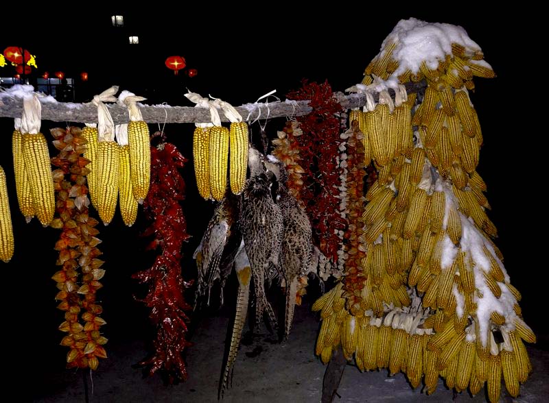 DSC02603.JPG
