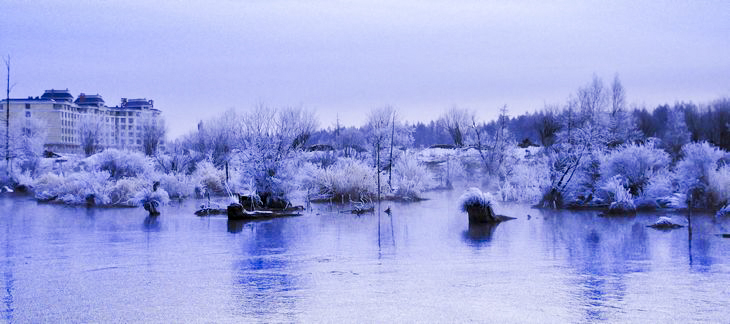 DSC_0260.JPG