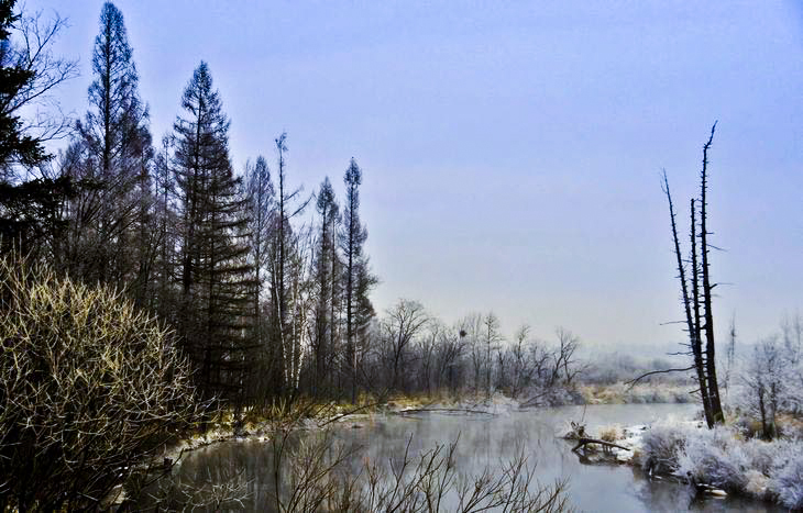 DSC_0284.JPG