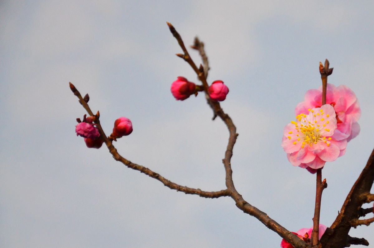 DSC_0029_副本.jpg