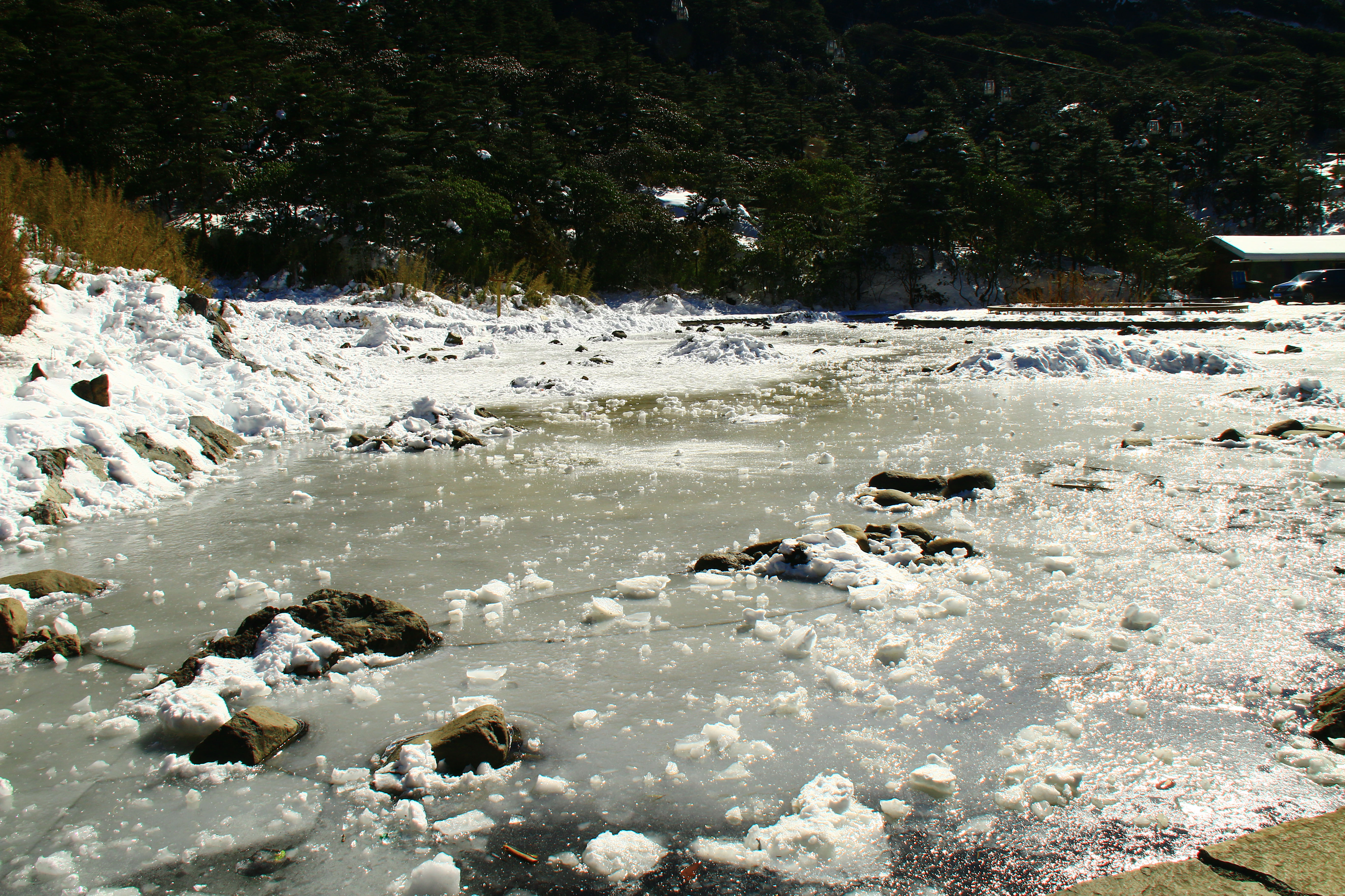 IMG_3952-.jpg