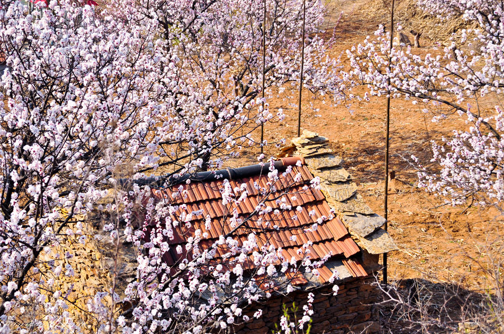 DSC_0007.JPG