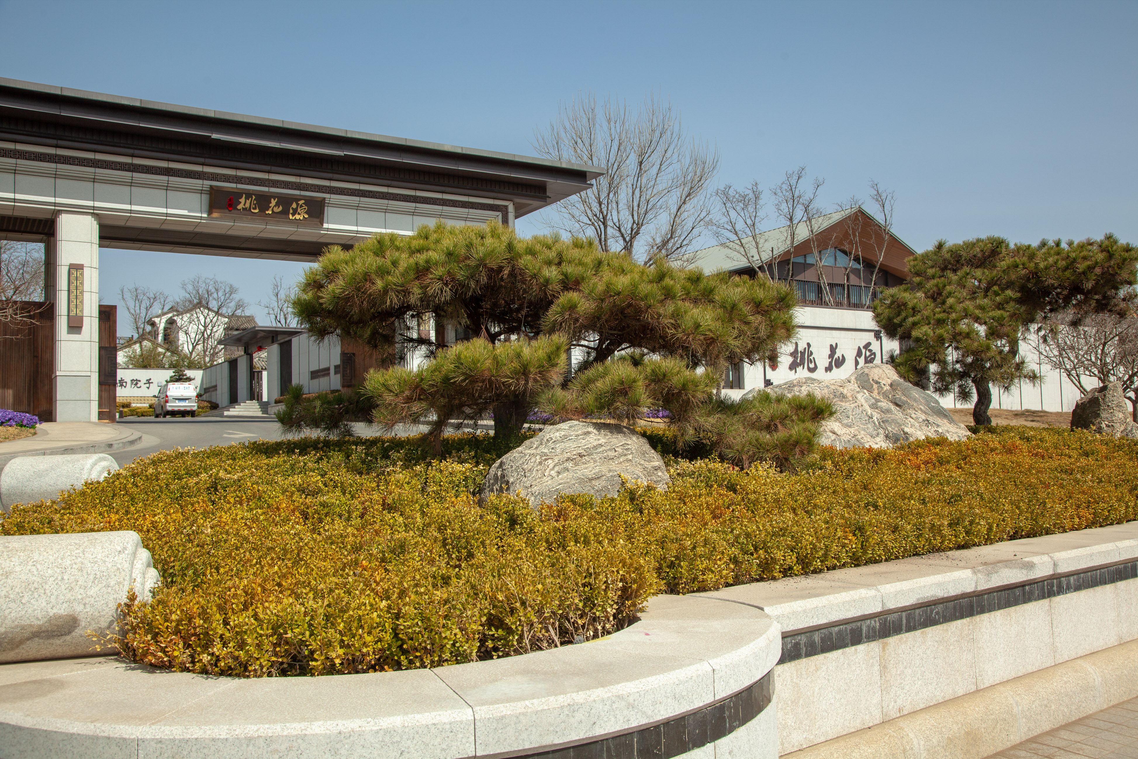 _MG_0031.jpg