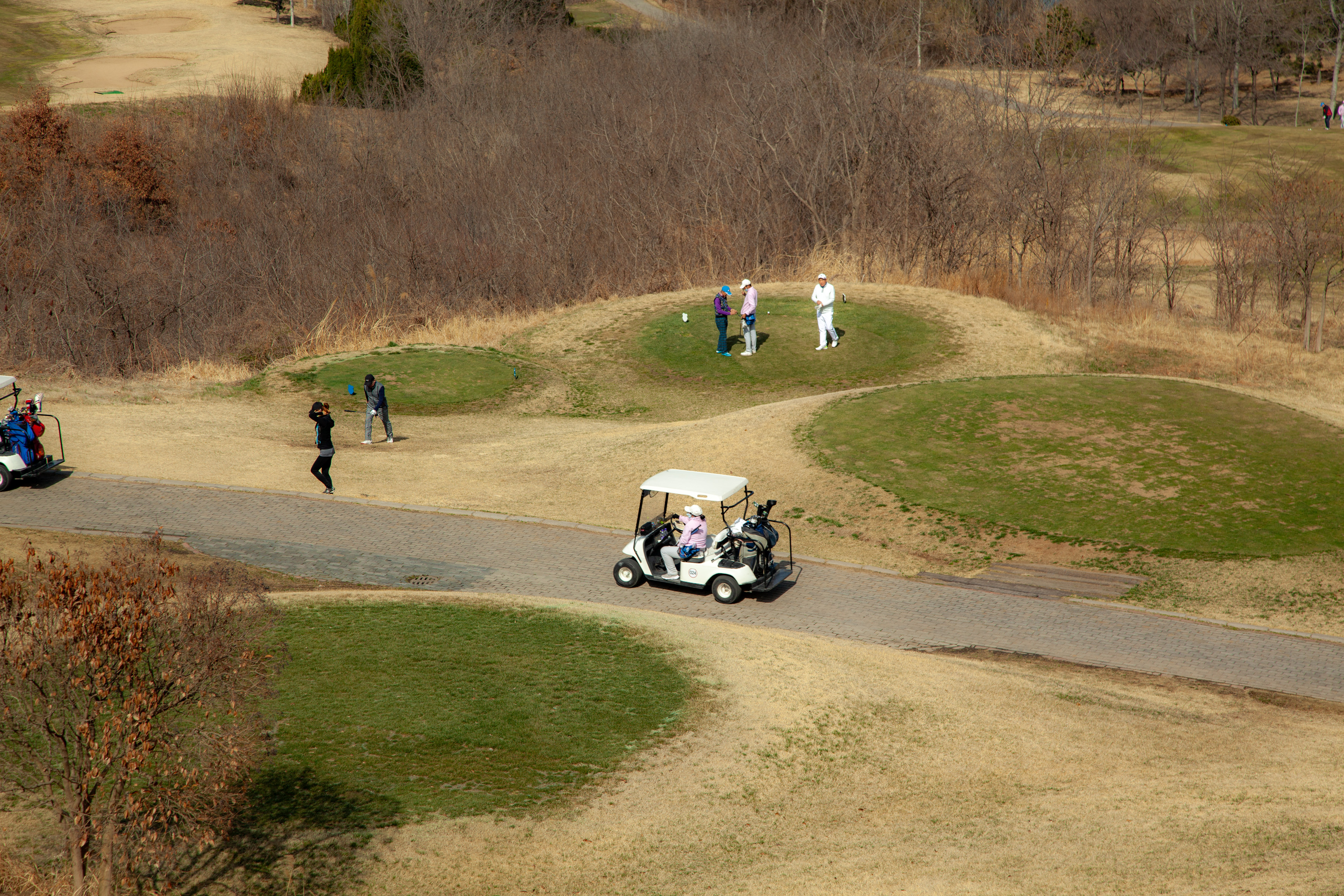 _MG_0061.jpg