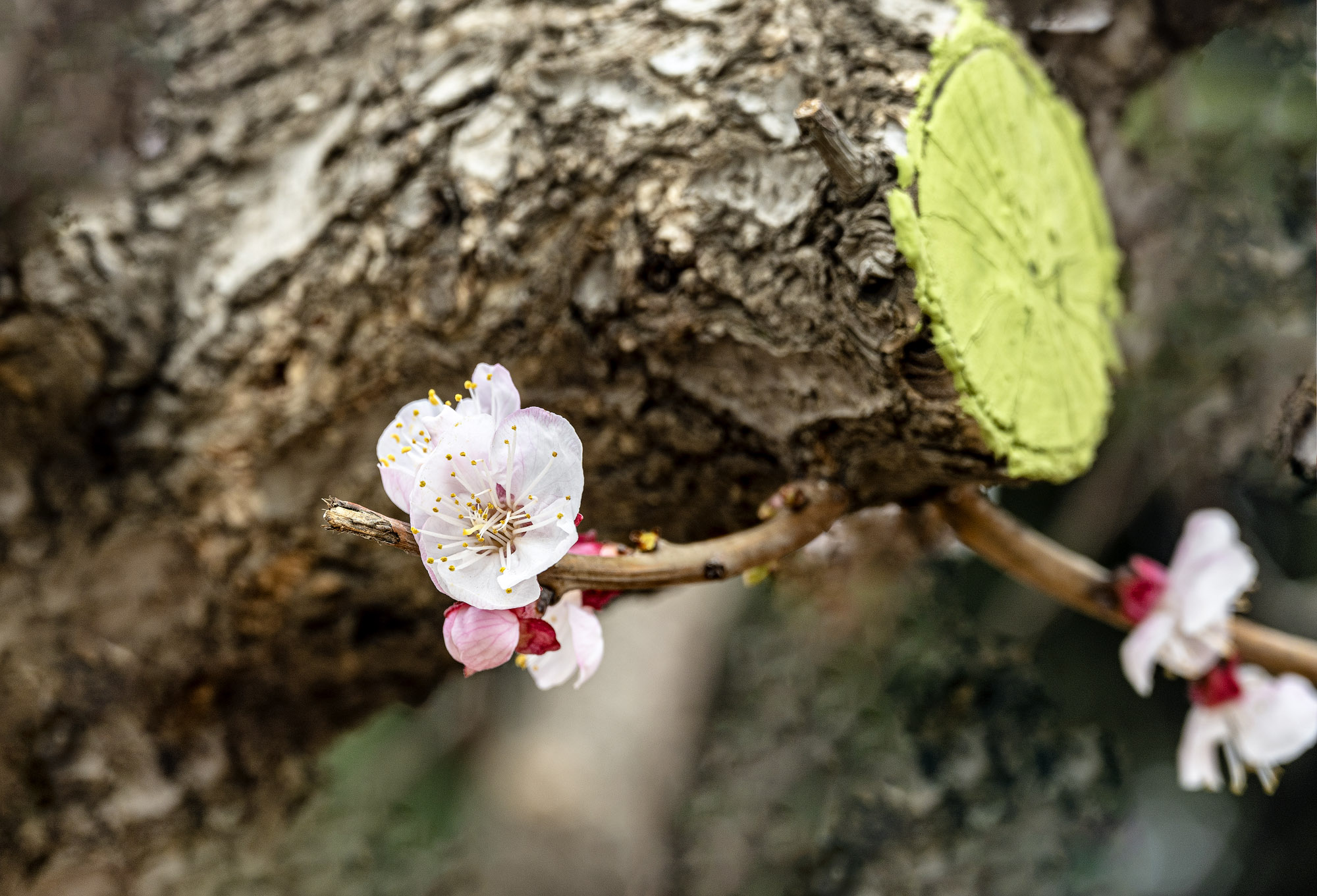 DSC_1509-1.jpg