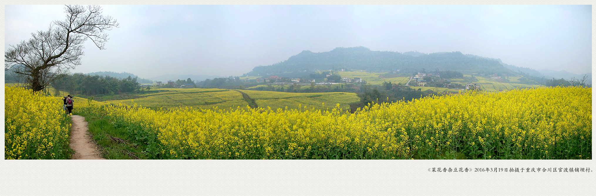 P3191095Panorama_副本_副本_副本.jpg