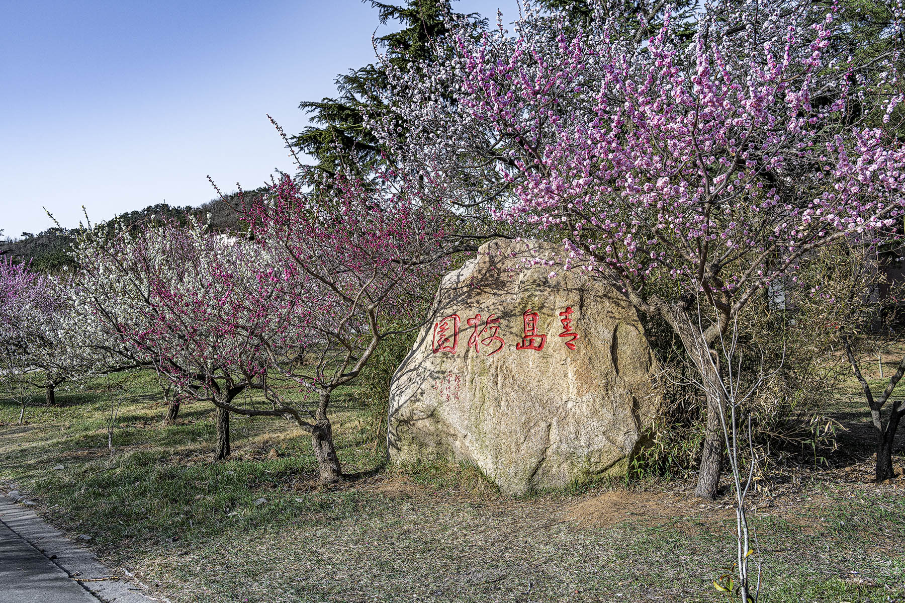 DSC_1688-1.jpg