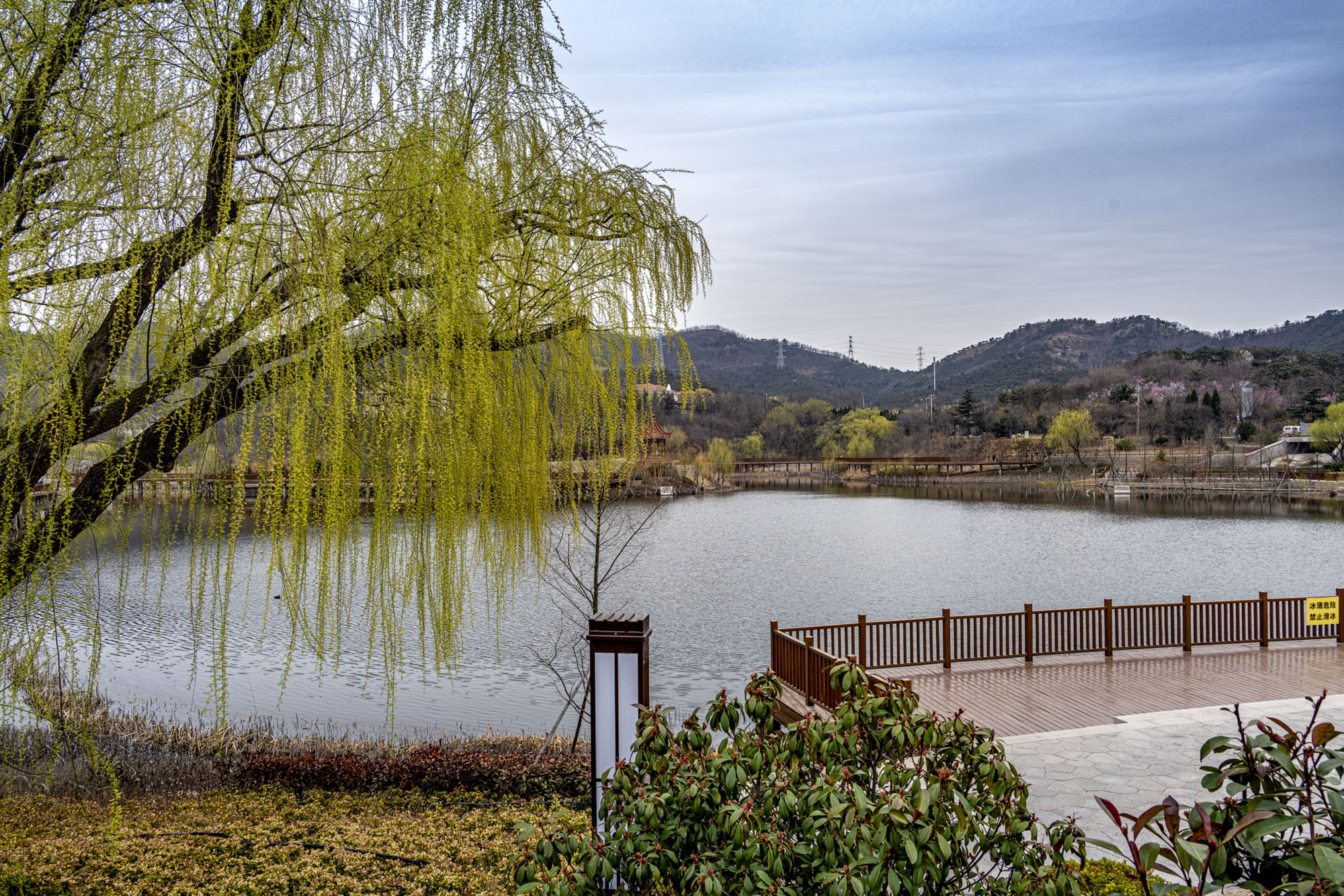 DSC_1542-1.jpg