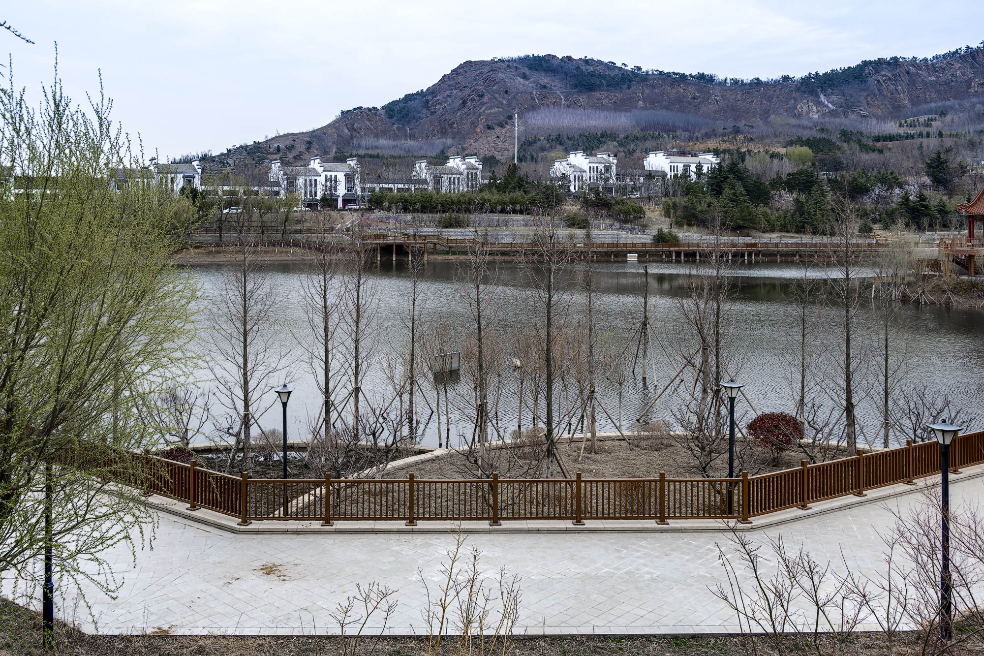 DSC_1548-1.jpg