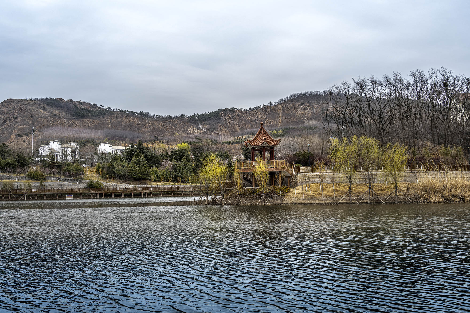 DSC_1566-1.jpg