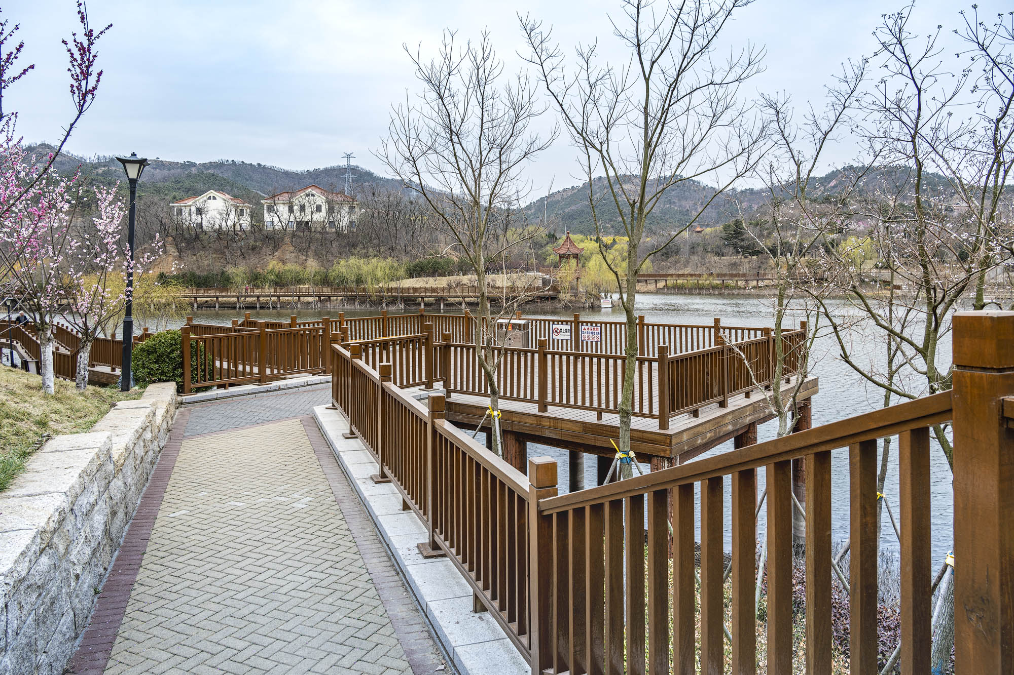 DSC_1574-1.jpg