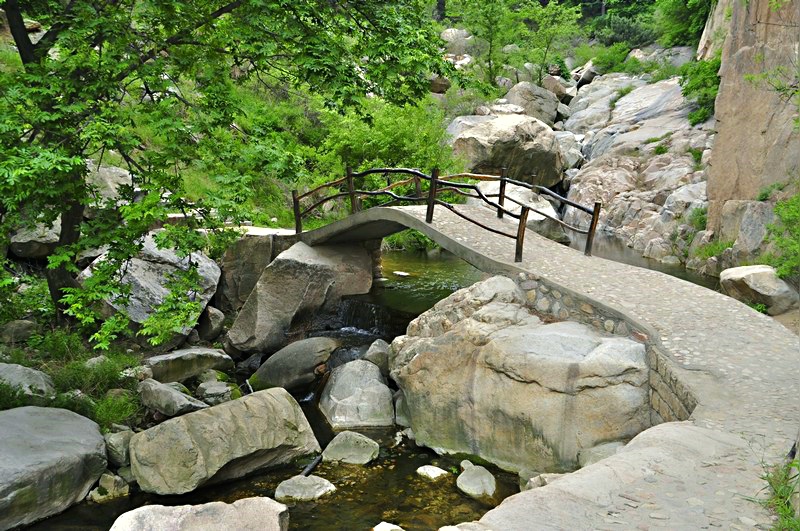 DSC_0023.JPG