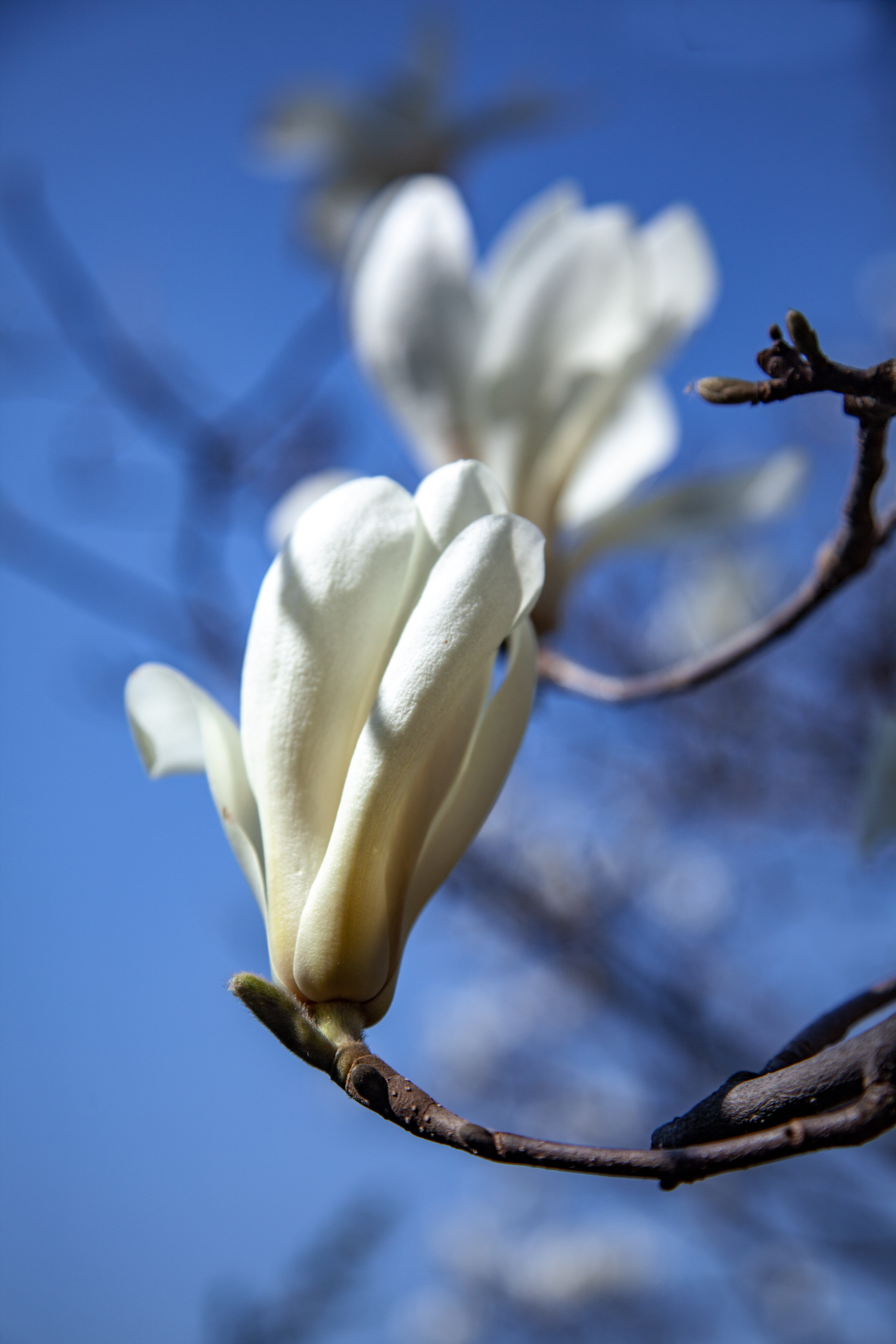 _MG_0140.jpg