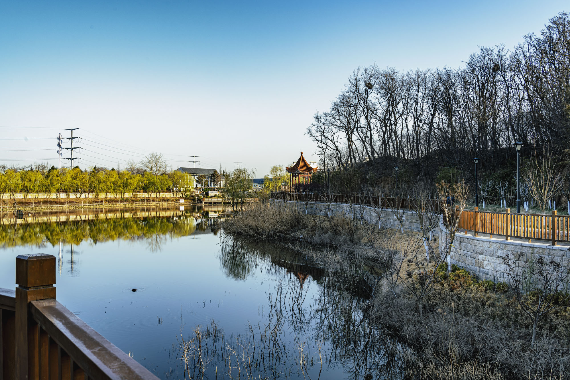 DSC_1654-1.jpg