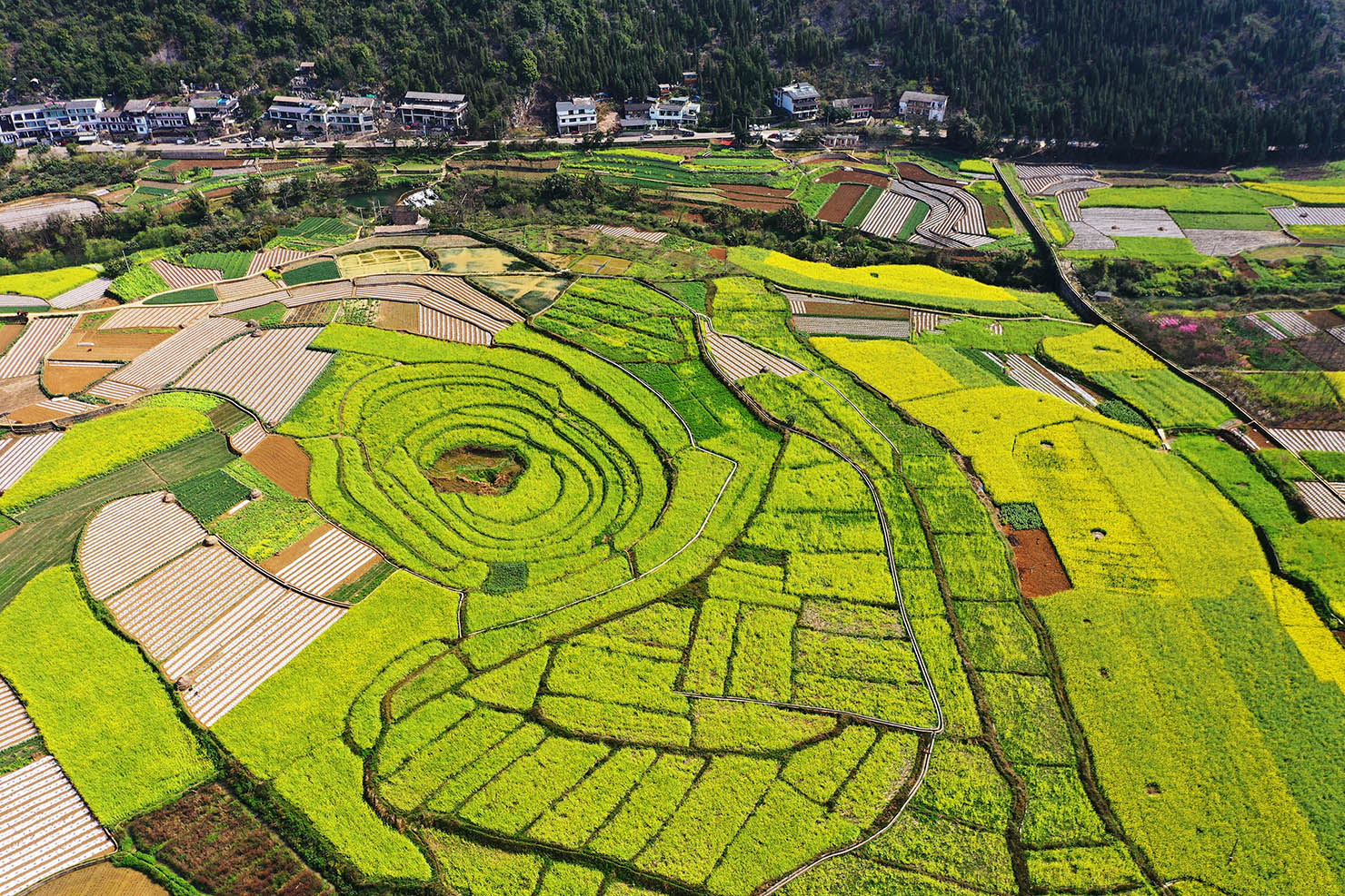 DJI_0975.jpg