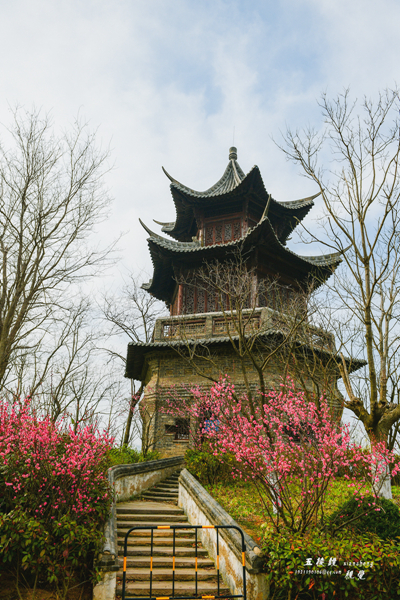 DSC_5127.JPG