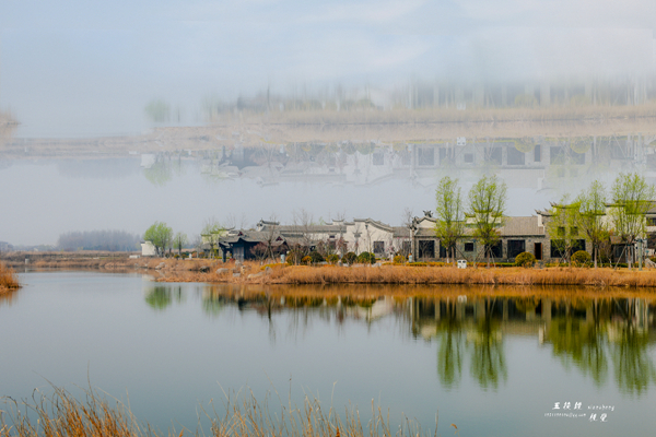 DSC_5154.JPG