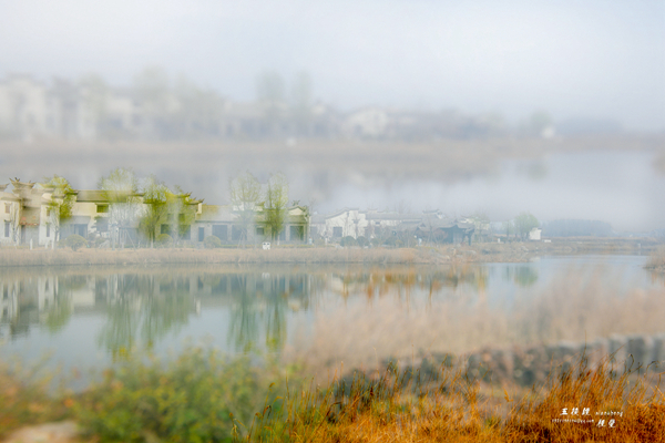 DSC_5155.JPG
