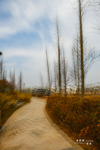 DSC_5182.JPG